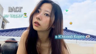 видео: ЛЕТНИЙ ВЛОГ НА ЧЕДЖУ В ЮЖНОЙ КОРЕЕ 🏝️🇰🇷 | ПОКУПКИ В DAISO💄 И НЭНМЁН У БАБУШКИ 🍜 картинка: ЛЕТНИЙ ВЛОГ НА ЧЕДЖУ В ЮЖНОЙ КОРЕЕ 🏝️🇰🇷 | ПОКУПКИ В DAISO💄 И НЭНМЁН У БАБУШКИ 🍜