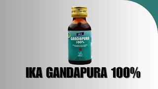 Review Minyak Gosok untuk Pegal Badan: IKA GANDAPURA 100%