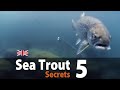 Sea trout secrets 5  spin fishing