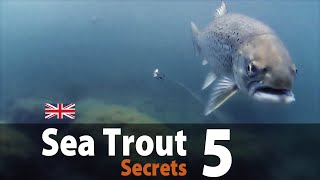 Sea Trout Secrets 5  Spin fishing