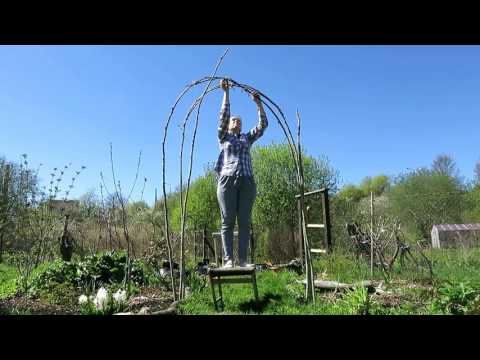 садовая АРКА своими руками / Garden arch from willow twigs