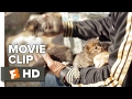 Kedi movie clip  abandoned kittens 2017  documentary