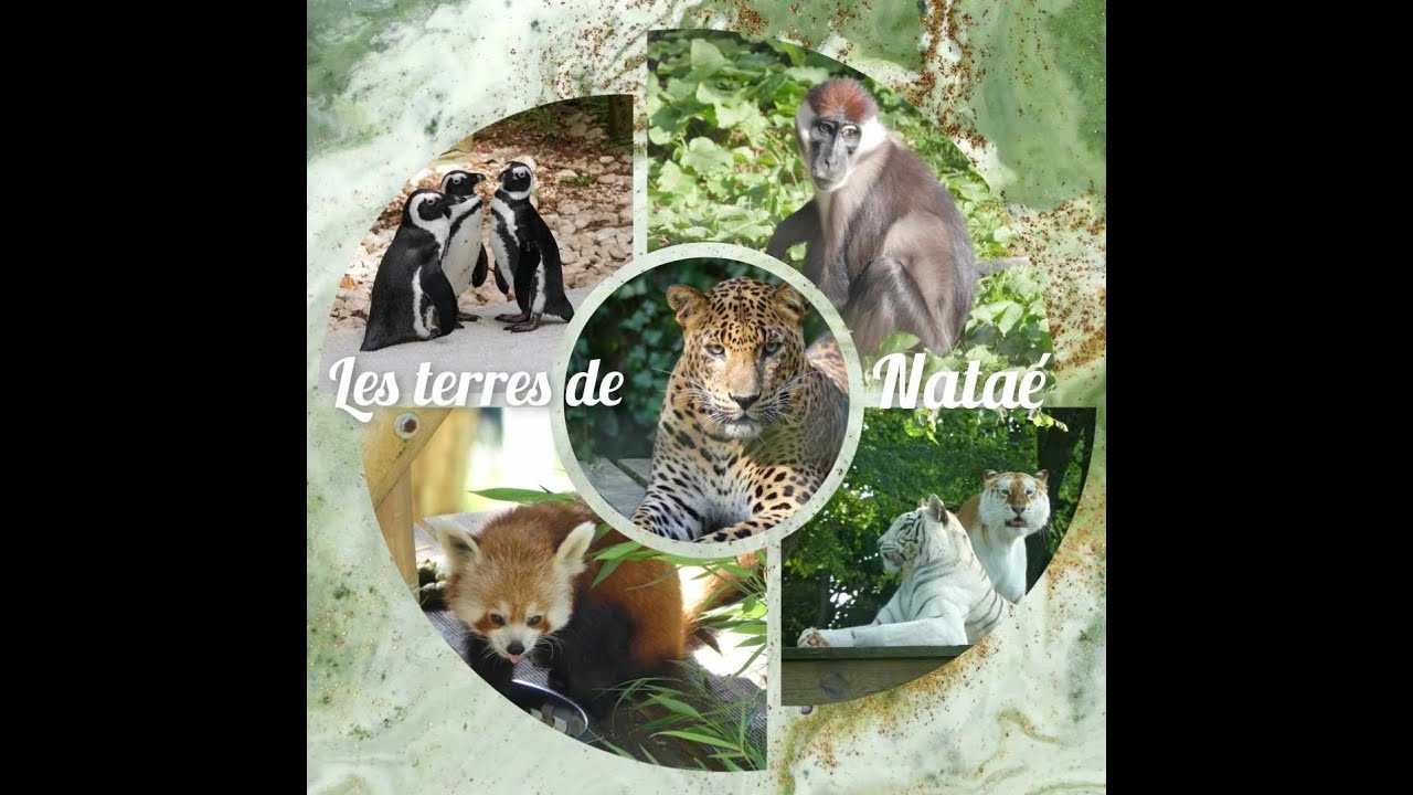 Les terres de Nataé (Zoo de Pont-Scorff)