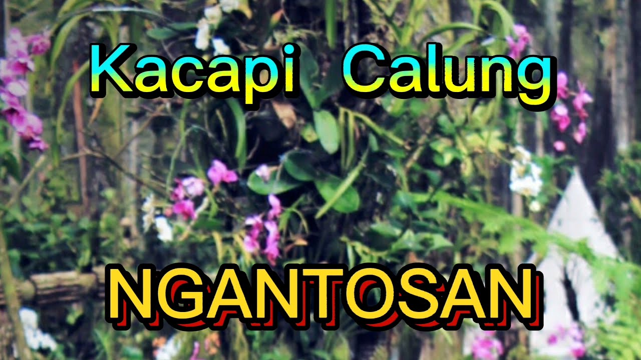Kacapi  Calung : NGANTOSAN : Cipt. /Vocal. Baban Asgar