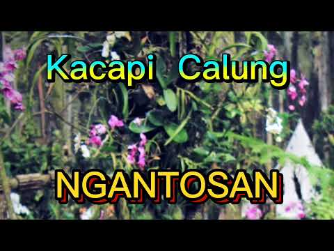 Calung Rantay Cianjur Selatan - Bamboo Xylophones in Cianjur, West Java