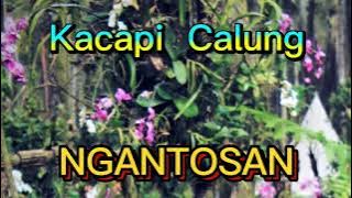 Kacapi  Calung : NGANTOSAN : Cipt. /Vocal. Baban Asgar