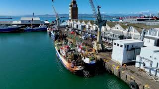 Viking Fishing Sea Harvest Cape Town Harbour Drone Shots