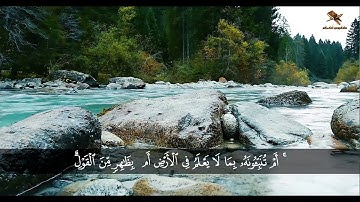 جديد الحناجر الجزائرية | عشائية من مسجد الربيع بوشامة حسن بادي | مدينة الحراش | القارئ أبو إسحاق