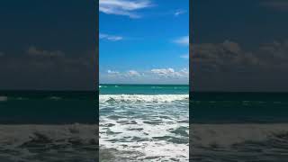 Feel the rhythm of sun-kissed waves dance along the shoreline in sunny Florida 🌊 🌞#floridalife