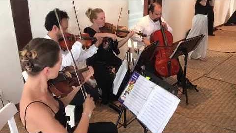 Contemporary String Quartet