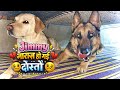 Jimmy नाराज़ हो गई दोस्तों 😢
