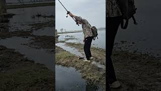 kehty hi attack how fish ka#indianfishingafsarkhan #fishing #fishingvideo #friends