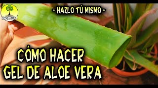 CÓMO HACER GEL DE ALOE VERA EN CASA FACILMENTE - DIY HAZLO TÚ MISMO