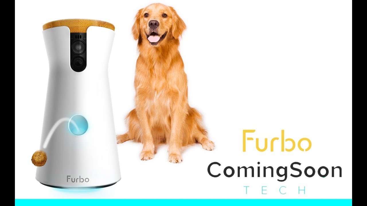 ▷ Furbo : Notre avis sur la caméra interactive pour chats et chiens