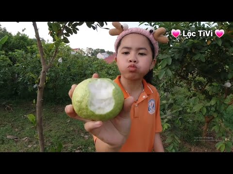 Lộc TiVi ăn