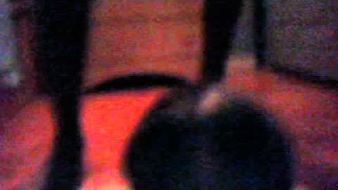 best magic trick ever (a dog turns into a statue)