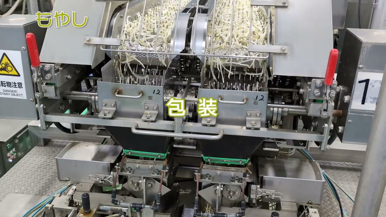 もやし | 株式会社旭物産