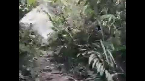 "Air Terjun Sampulan" Kec. Laung Tuhup Kab. Murung Raya