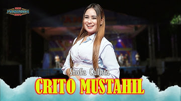 CRITO MUSTAHIL - SOFIA CALLISTA - NEW PRIMADONA LIVE EXPO BLITAR 2023