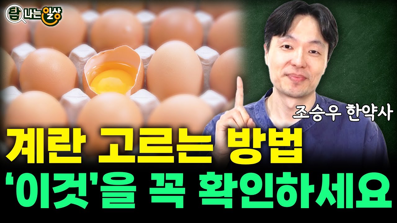 계란껍질에 써있는 이 번호! 꼭 확인하시고 드세요!!(조승우 한약사) - Youtube
