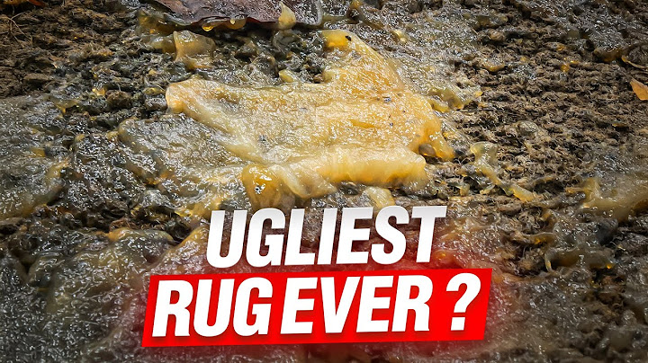 This Might Be the Ugliest Rug We've Ever Cleaned...