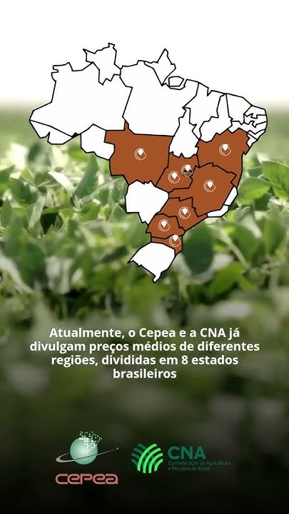 Preços do Feijão: Indicador Cepea/CNA