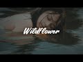 Billie Eilish WILDFLOWER Lyrics Billie Eilish WILDFLOWER Lyrics