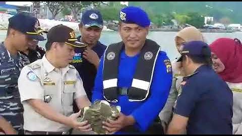 Pelepasliaran Ikan Napoleon dan Kima Oleh Wilker PSDKP Banggai