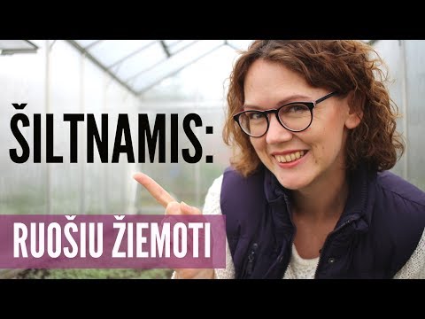 Video: Šiltnamio Paruošimas Sezonui