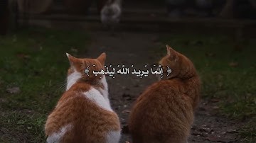 ارح سمعك بهذا التلاوة ♥#مثنى_ناجي