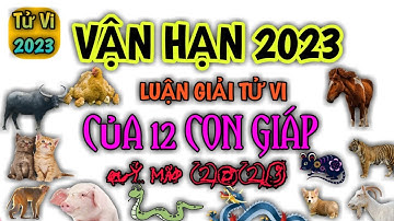 Vận Hạn của 12 Con Giáp trong năm 2023 chi tiết - Vận Hạn 2023 @Luangiai12congiap