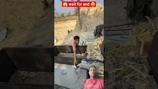 लास्ट तक जरूर देखना 😂 | #kisan #khet #ganna #khetibadi #kisanbhai #gaon #harshpushptode #kisancomedy