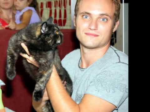 INTERNATIOMAL CAT SHOW GOLDEN CAT 09-10.1009. ISRAEL.WCF. FELIS