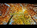 #Neurographic #Art