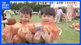 玉ねぎ10キロ1,500円で販売　辛み少なく甘みが特徴　千葉・白子町で「たまねぎ祭り」｜TBS NEWS DIG