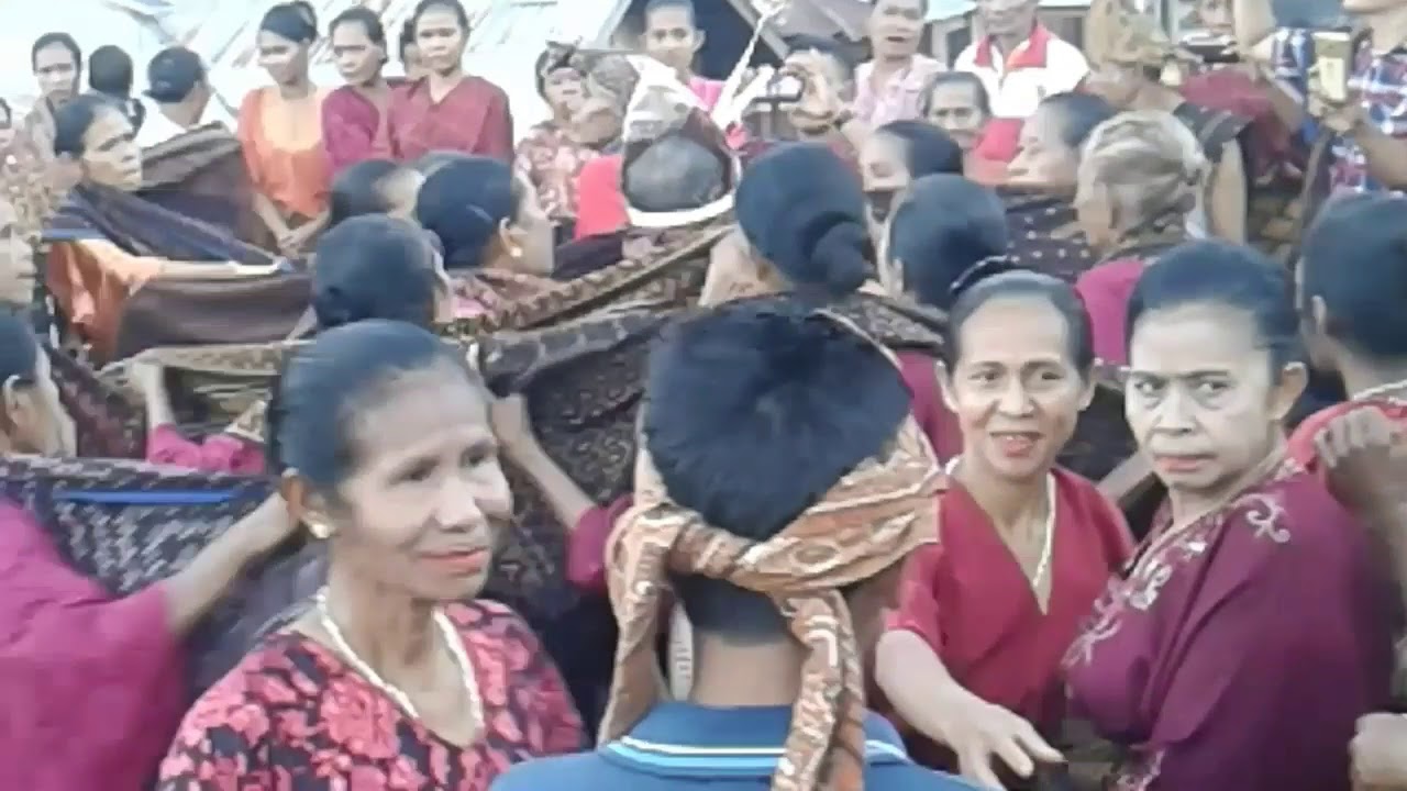 Tarian adat kampung wolokota