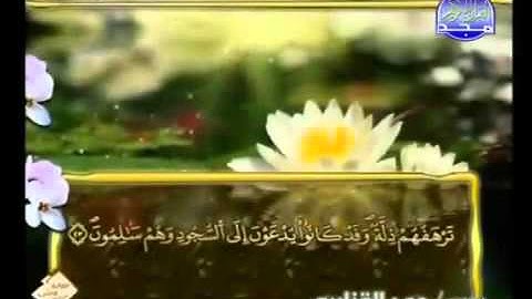 جزء تبارك كاملا ( 29 ) مكتوب / قراءة برواية ورش عن نافع / للشيخ عمر القزابري - HD