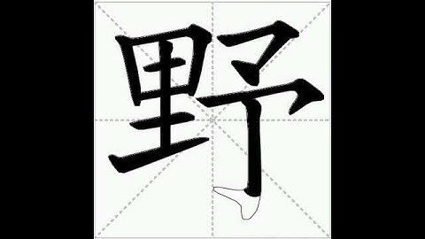 how to write chinese 野丨Chinese stroke order中文汉字笔顺动画