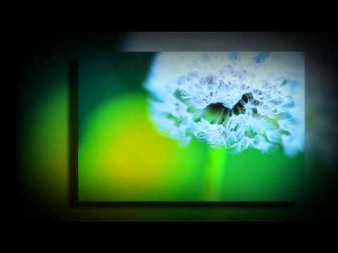 Soothing Classics 'Pavane' (Faure) by Oliver Wright
