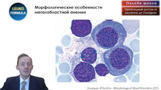 Морфология анемий из Италии. 1 часть.