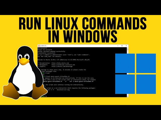 How to Use Linux on a Windows Machine – 5 Different Approaches