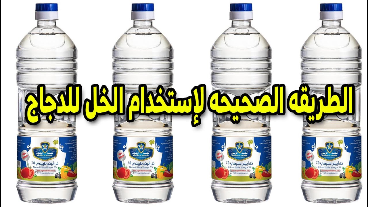 فوائد الخل المذهلةللدجاج والطريقه الصحيحه لإستخدام الخل والجرعه ...