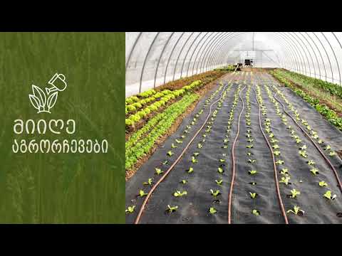 eiec ქოვერ