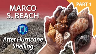 Part 1 of 2: Storm Shelling Marco South Beach Post Hurricane Milton