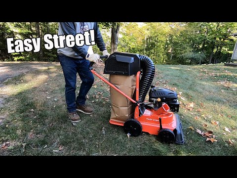 Cheap Leaf Vacuum Service Near Me