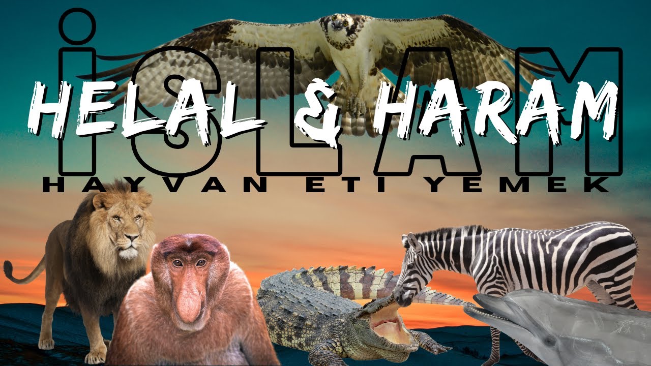 İslamda Helal ve Haram Hayvan Etleri.