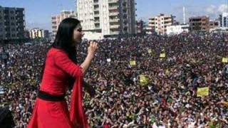 Newroz Resimi