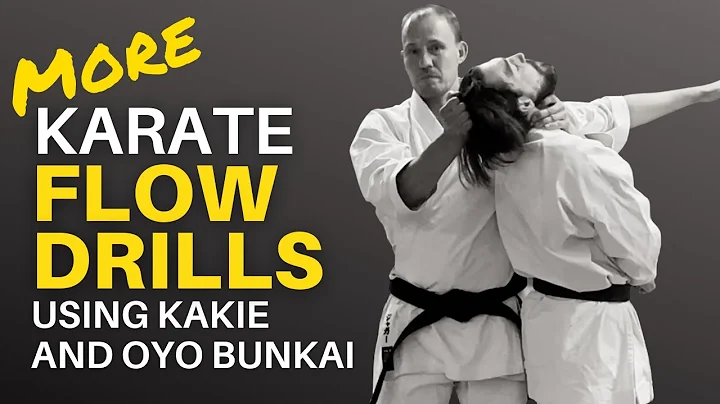 Flow Drill for Karate 2: Geki Sai Dai Ni Oyo Bunkai - DayDayNews