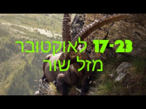 וִידֵאוֹ: למה לשוטים יש מזל