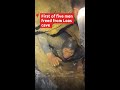 Rescuers safely evacuate first of five trapped in Laos cave